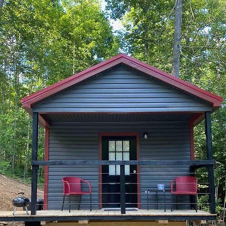 Lovely Tiny Cabin In The Heart Of Red River Gorge! Villa Campton Екстериор снимка